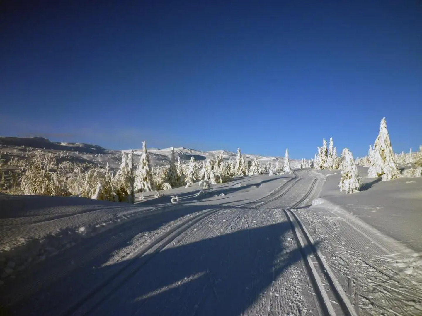 Skeikampen Appartement