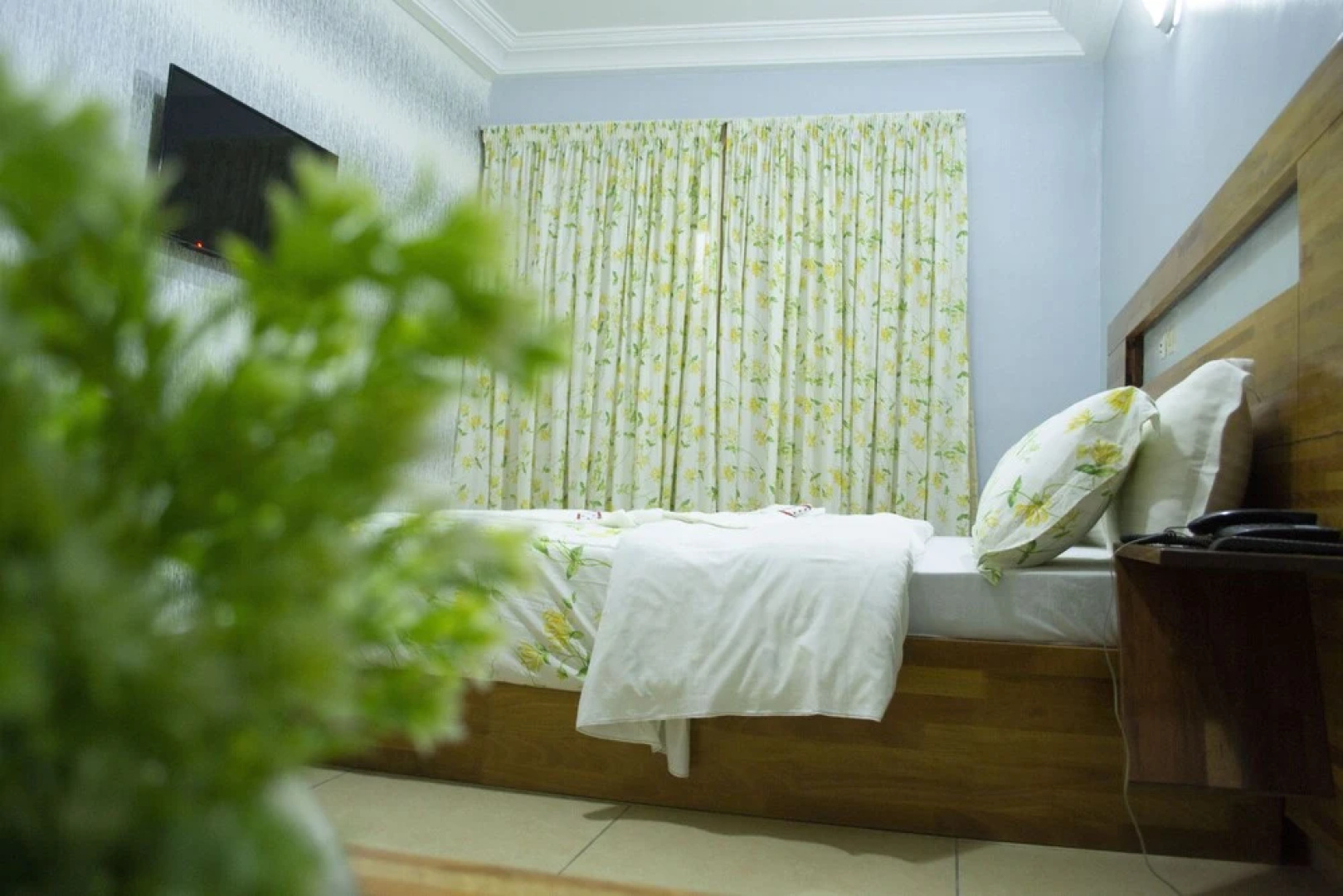 Hotel Lewi