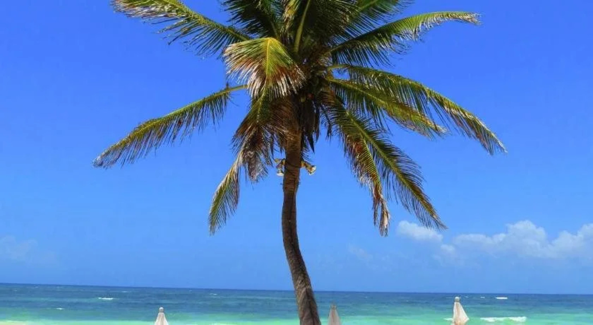 Shambala Petit Hotel