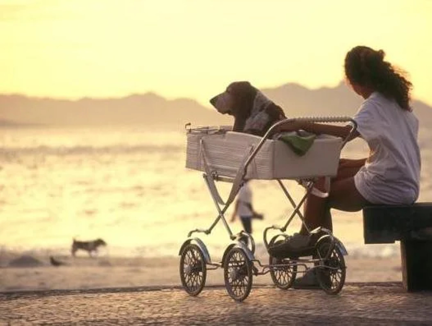 Residence Le Terrazze