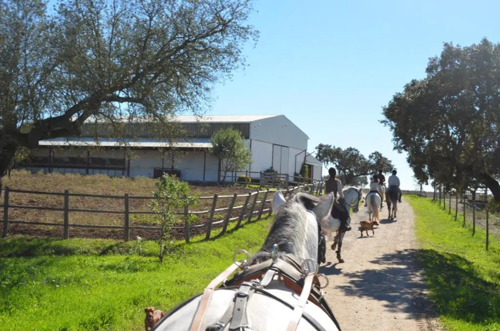 Monte da Boavista - Country family house