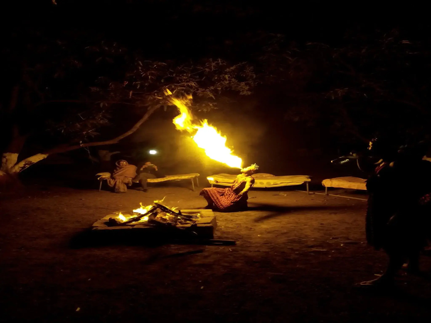 The Wilds Villa Gir Resort with Swimming Pool