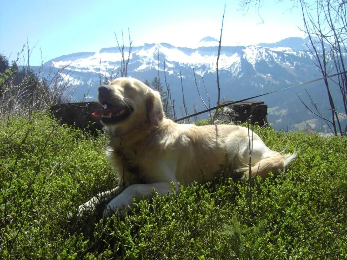 Ferienwohnung & Spa Renate