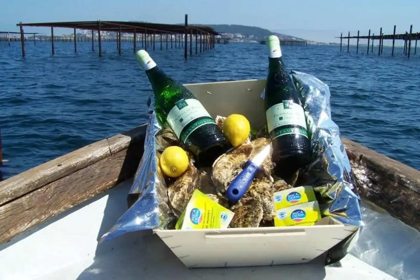 Apartment With 2 Bedrooms in Montbazin, With Pool Access, Enclosed Gar