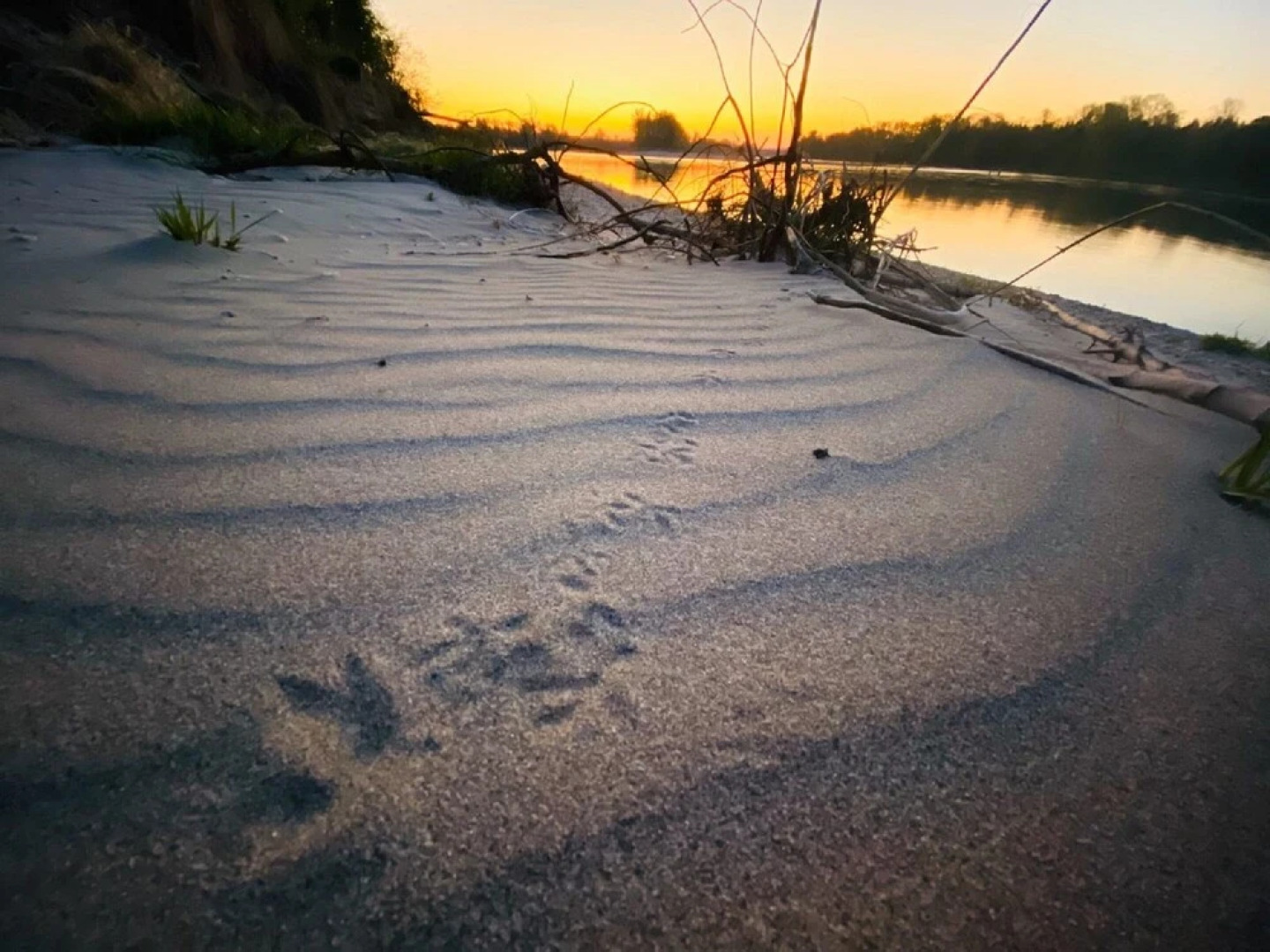 Ferienwohnung Bellissima