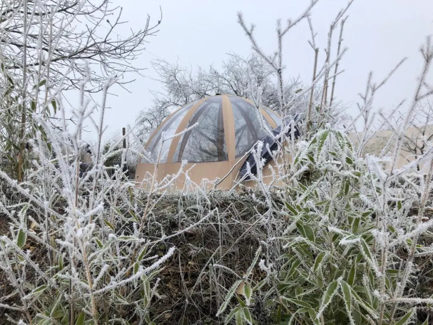 Les Nuits Insolites de Madine