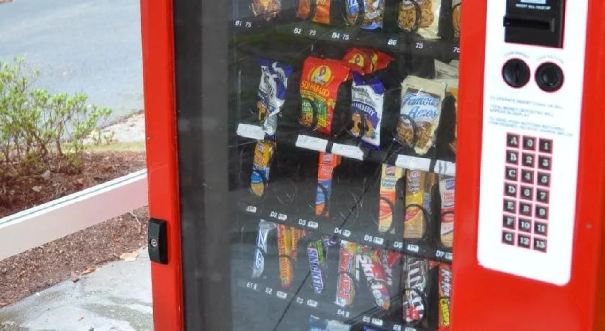 Zoders Inn and Suites