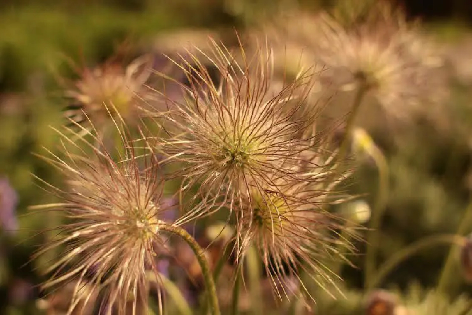 Bauernhofpension Herzog zu Laah