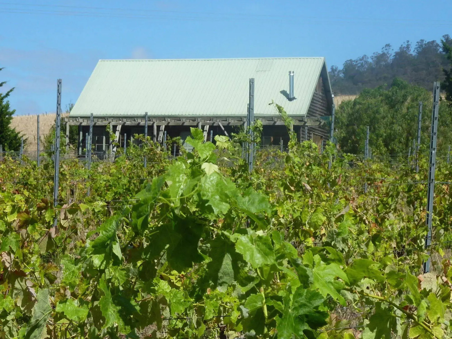 Charles Reuben Estate