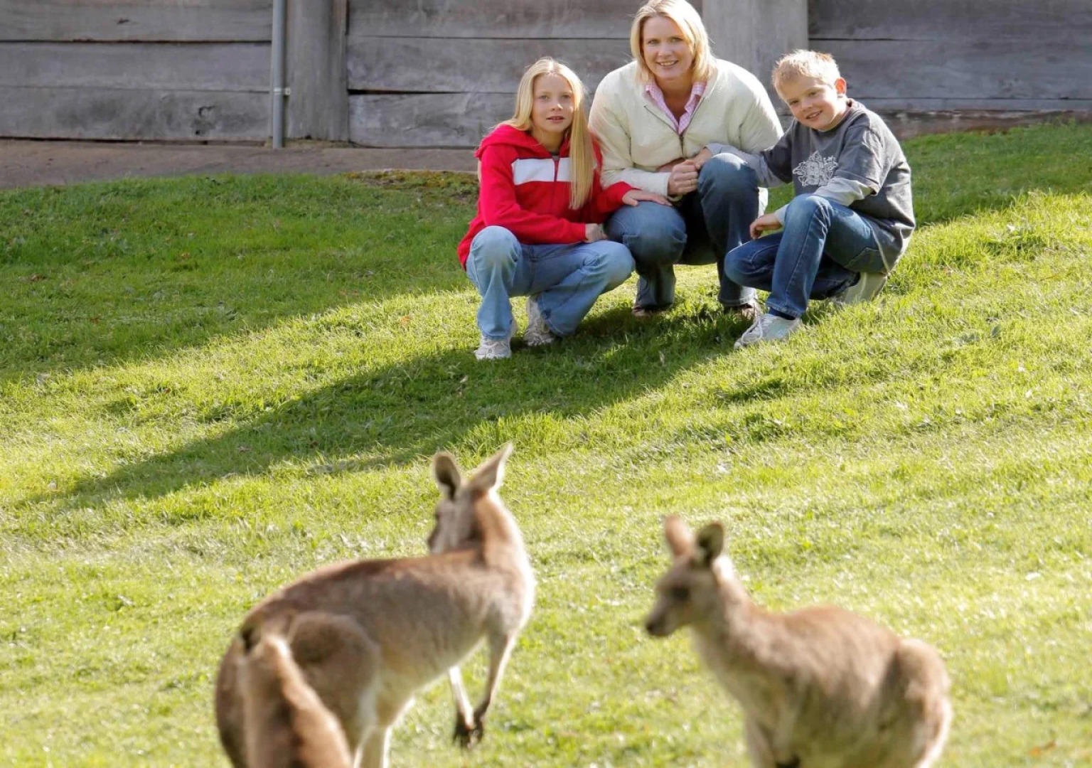 The Sebel Pinnacle Valley Resort