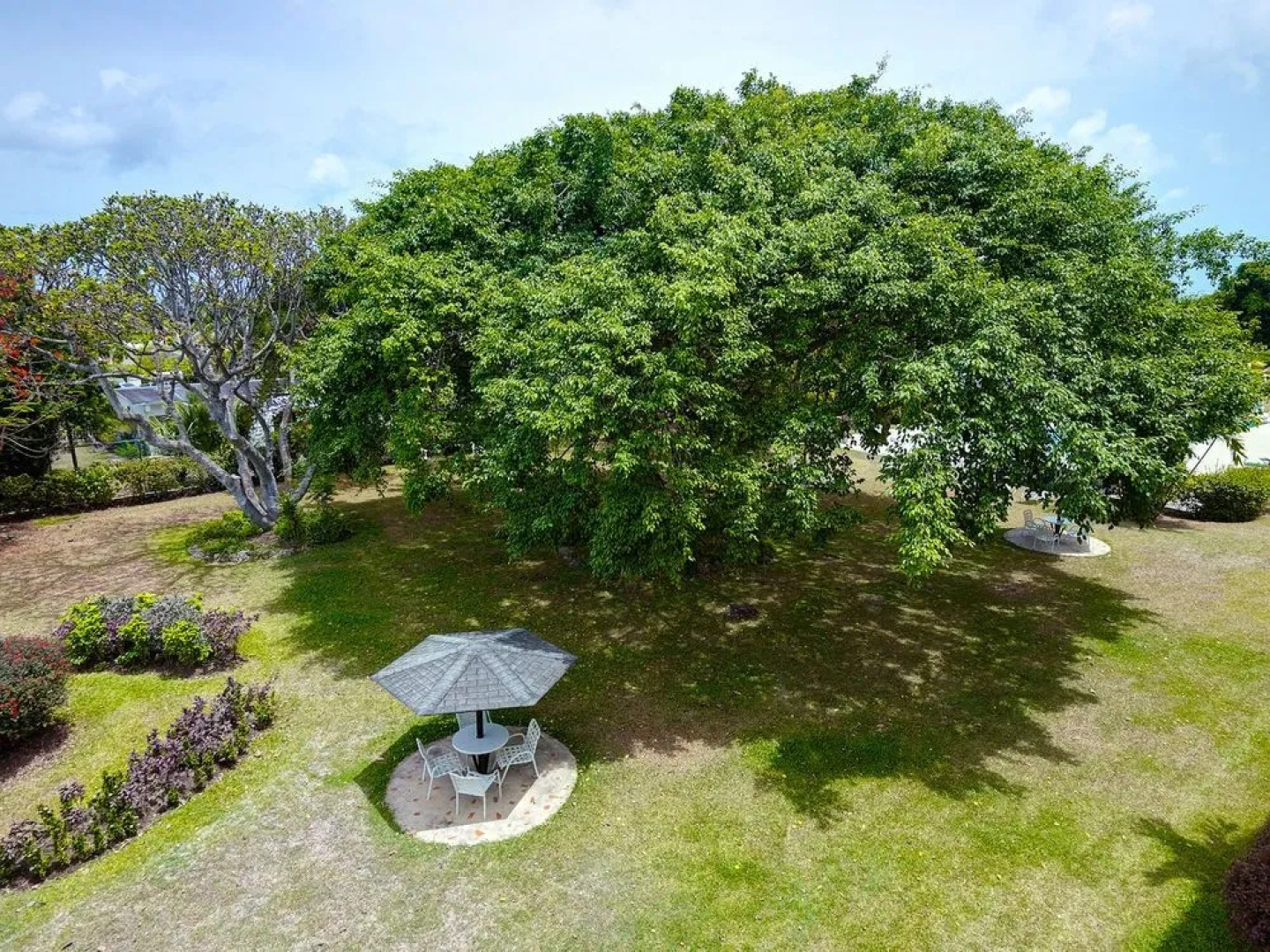 Best Luxury Spot - Holetown