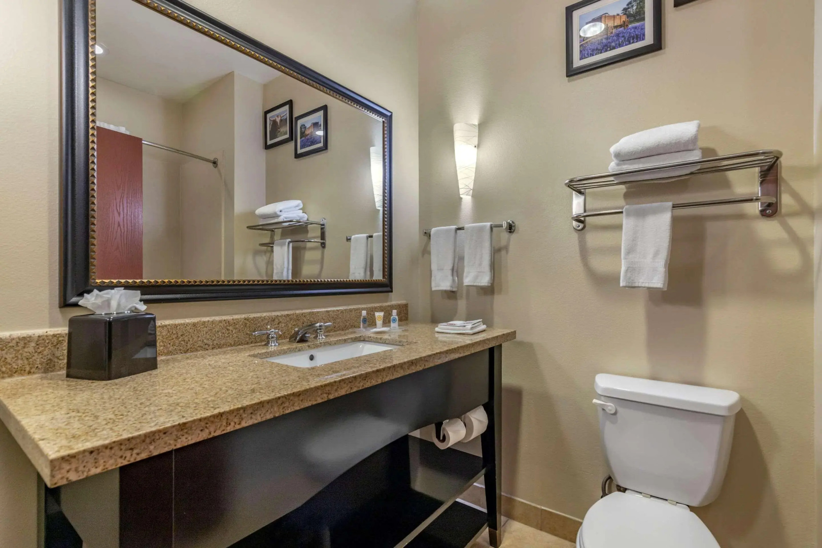 Comfort Suites Buda - Austin South