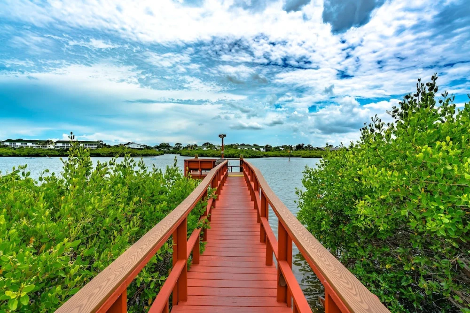 Seashell 19 by Vtrips