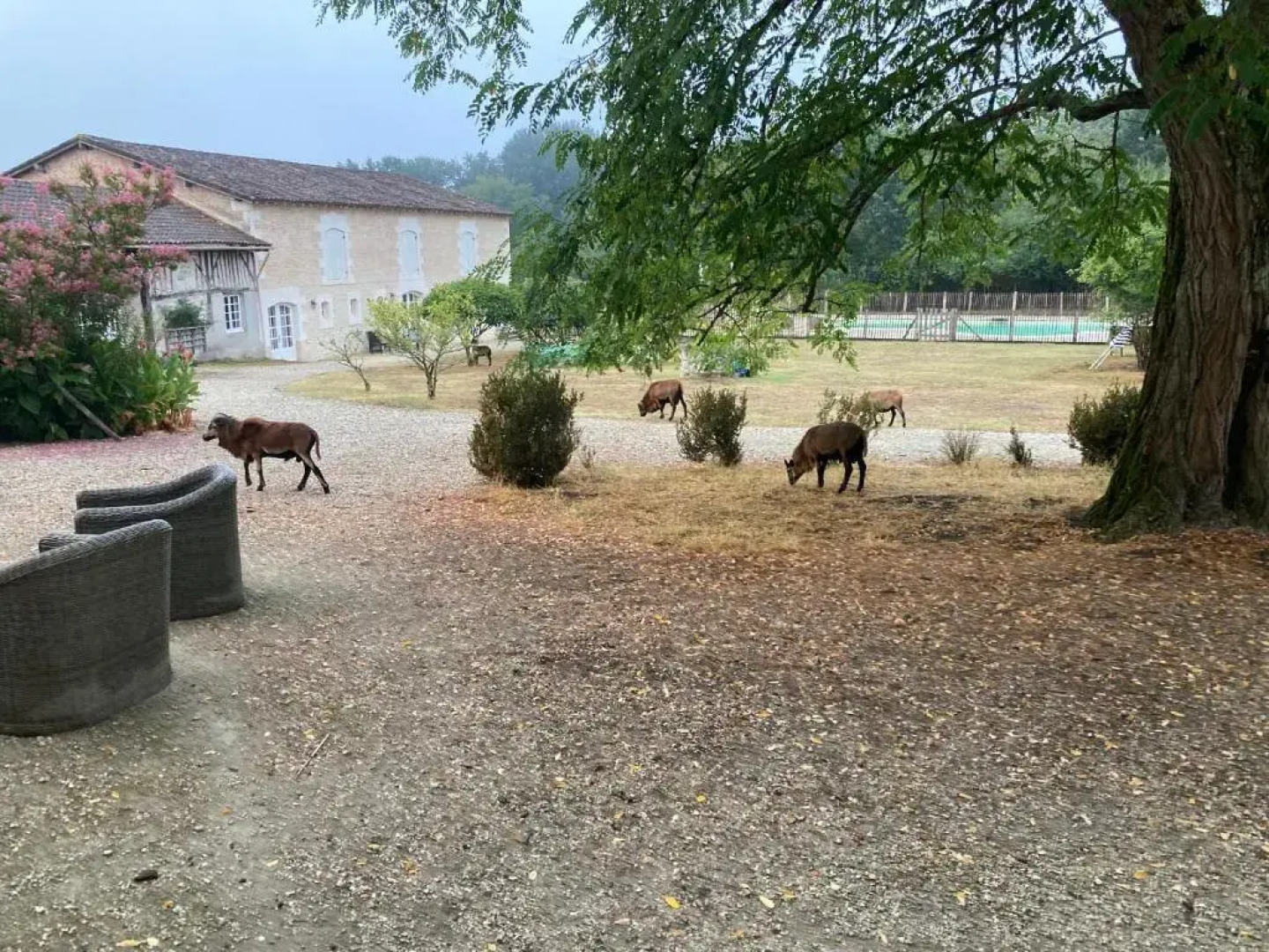 Le Petit Chateau Servanches