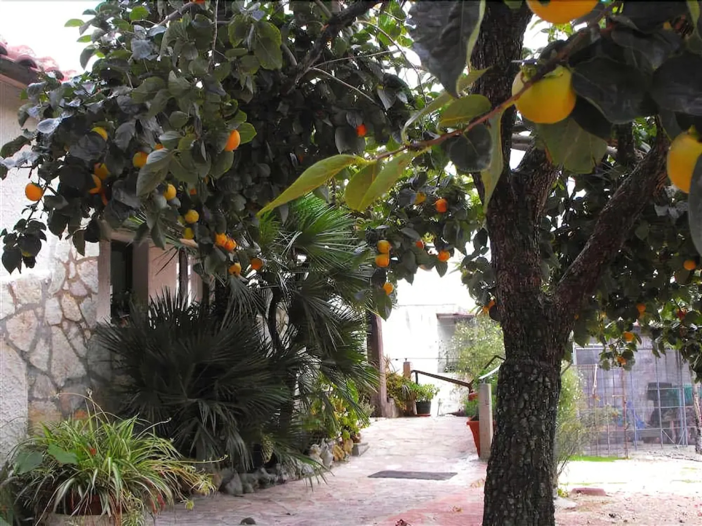 Agriturismo Fattoria Spezia