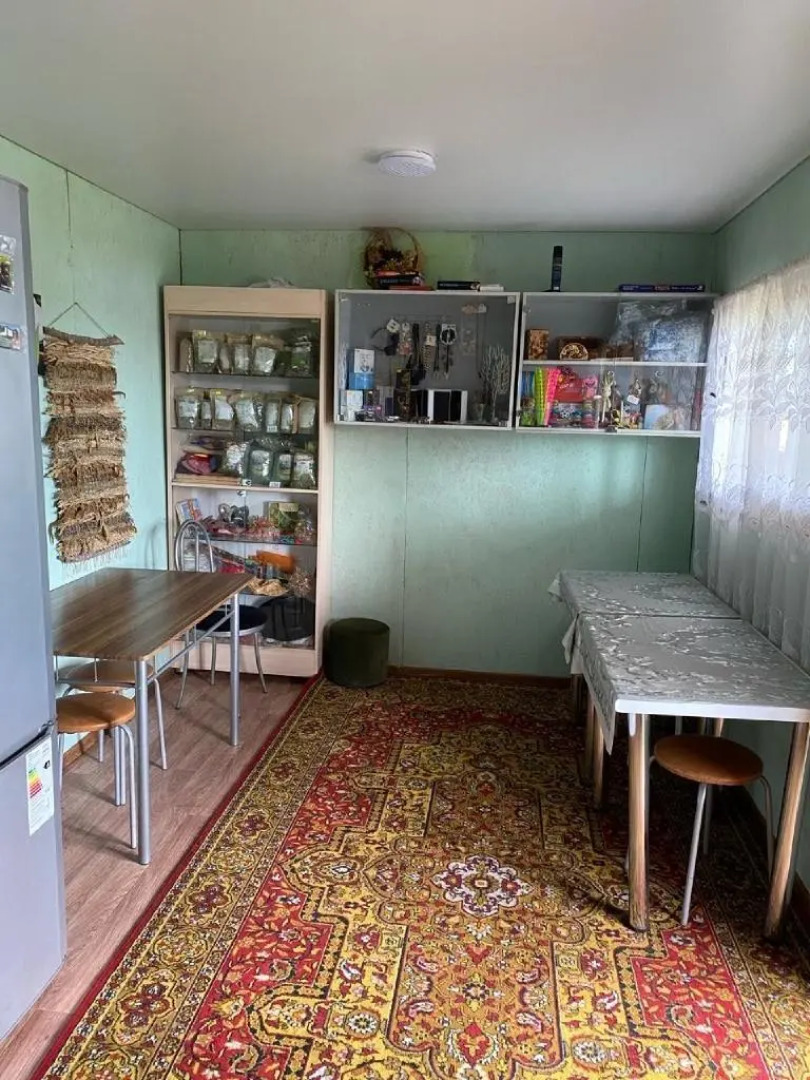 Чижик на улице Дворникова 12