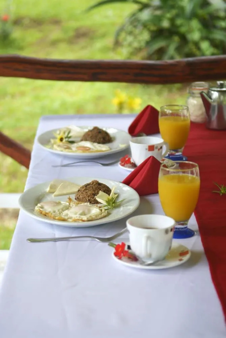 The Sunset Tucano Lodge