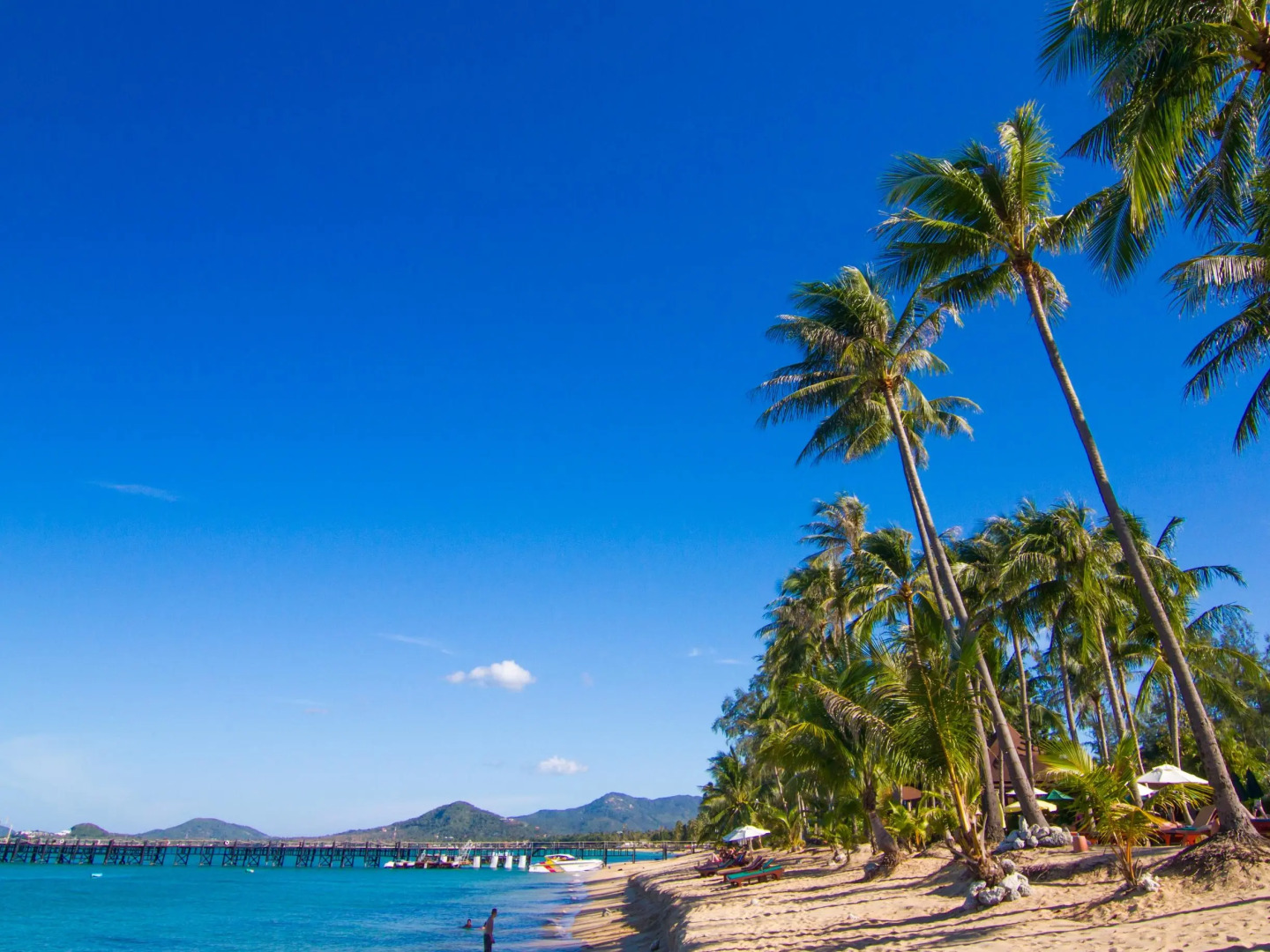 Coco Palm Beach Resort