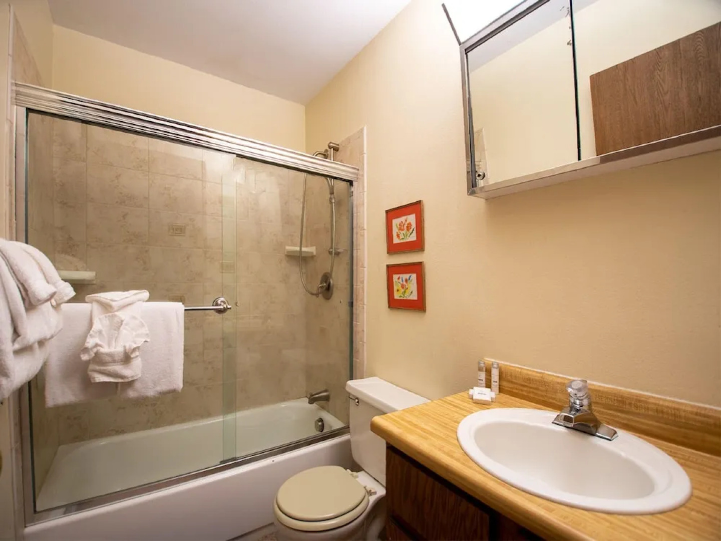 Vasquez Creek Townhomes #1