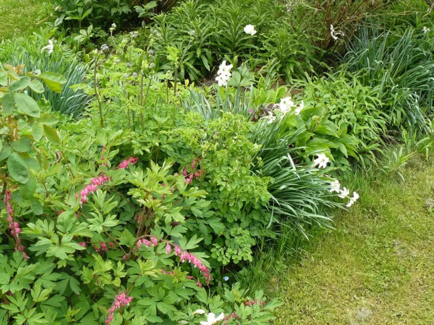 Maison d'hotes Sainte Genevieve