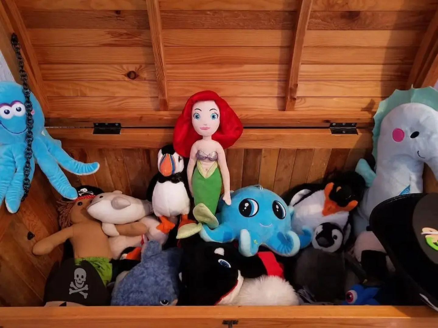 Comfy House by the Beach, Northumberland Coast