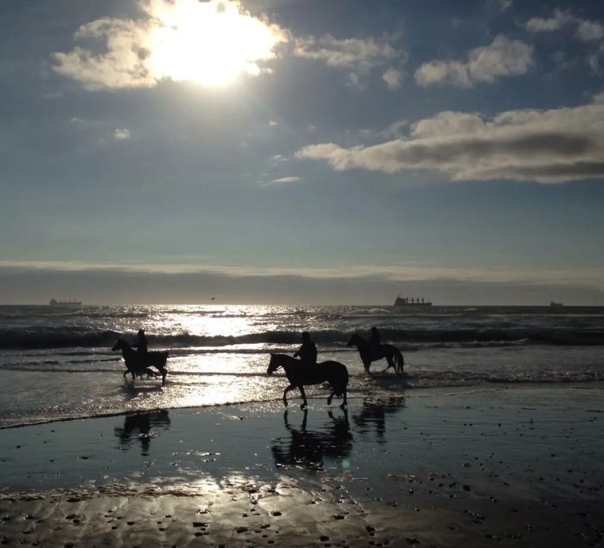 Stay at Confortable Scandinavia Hotel Bb