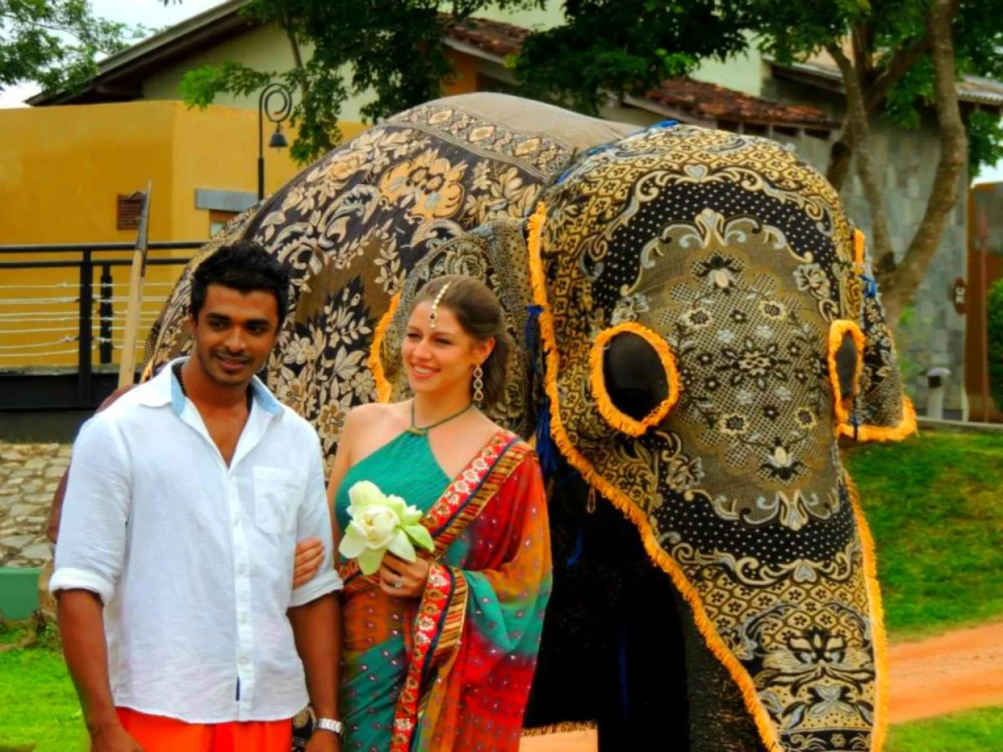 The Elephant Corridor Hotel