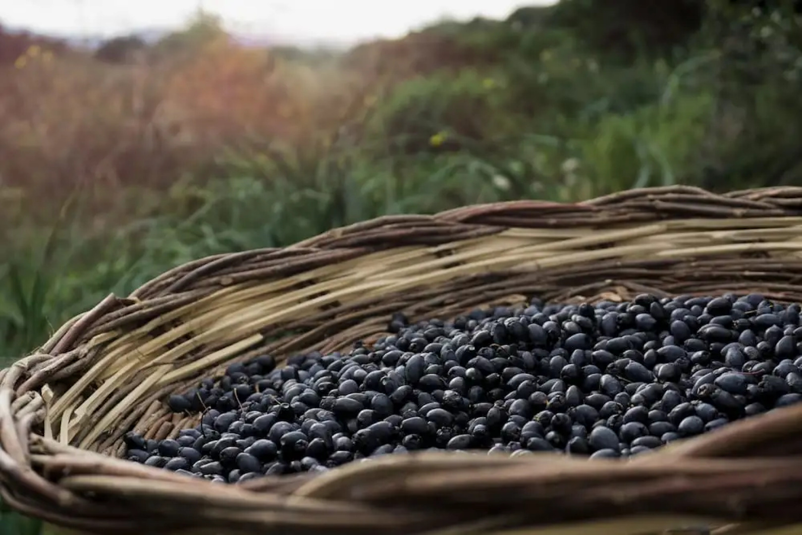 Il Melograno Country House