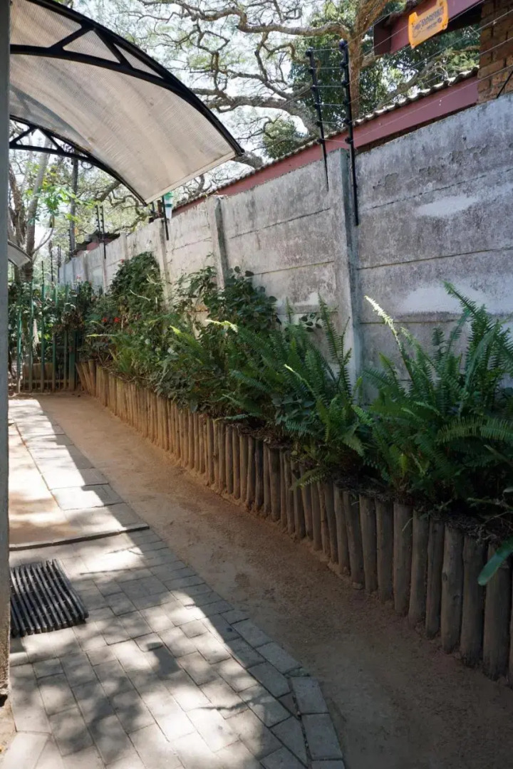 Sheba Rock Guest House