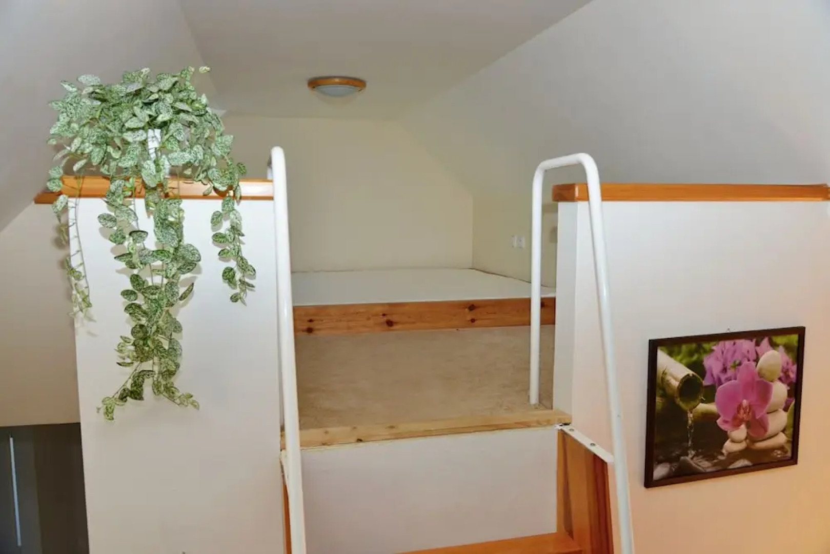 Penzion a restaurace Pintovka