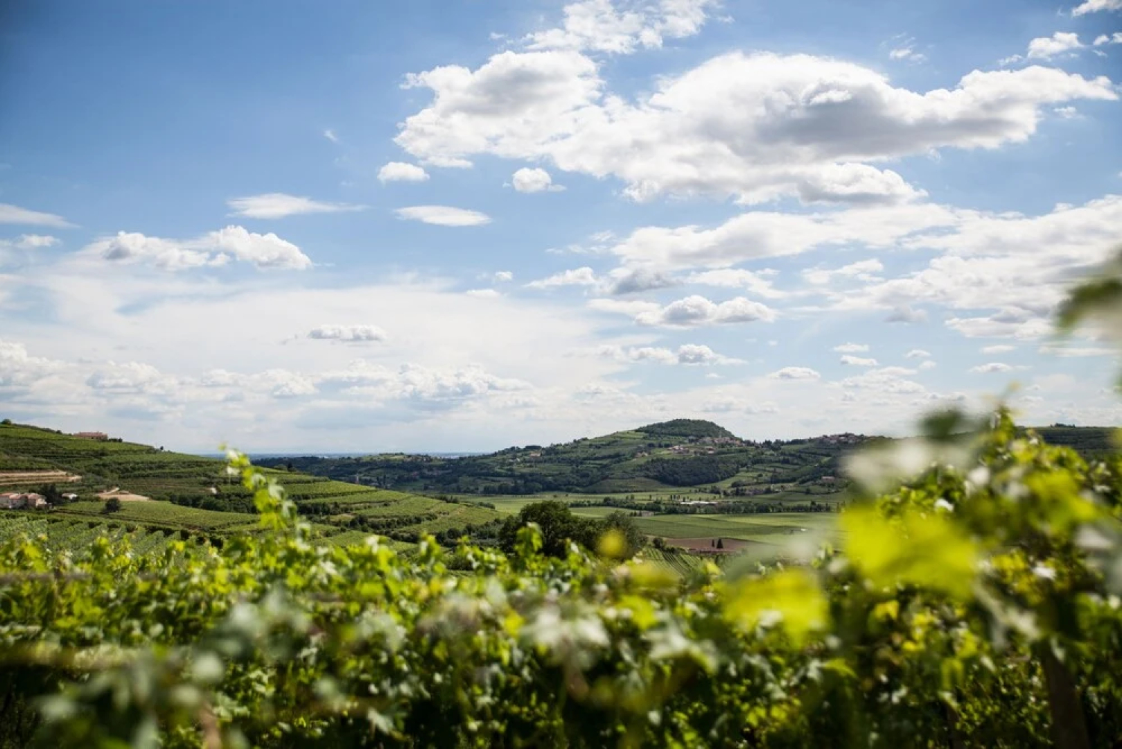 Massimago Wine Relais