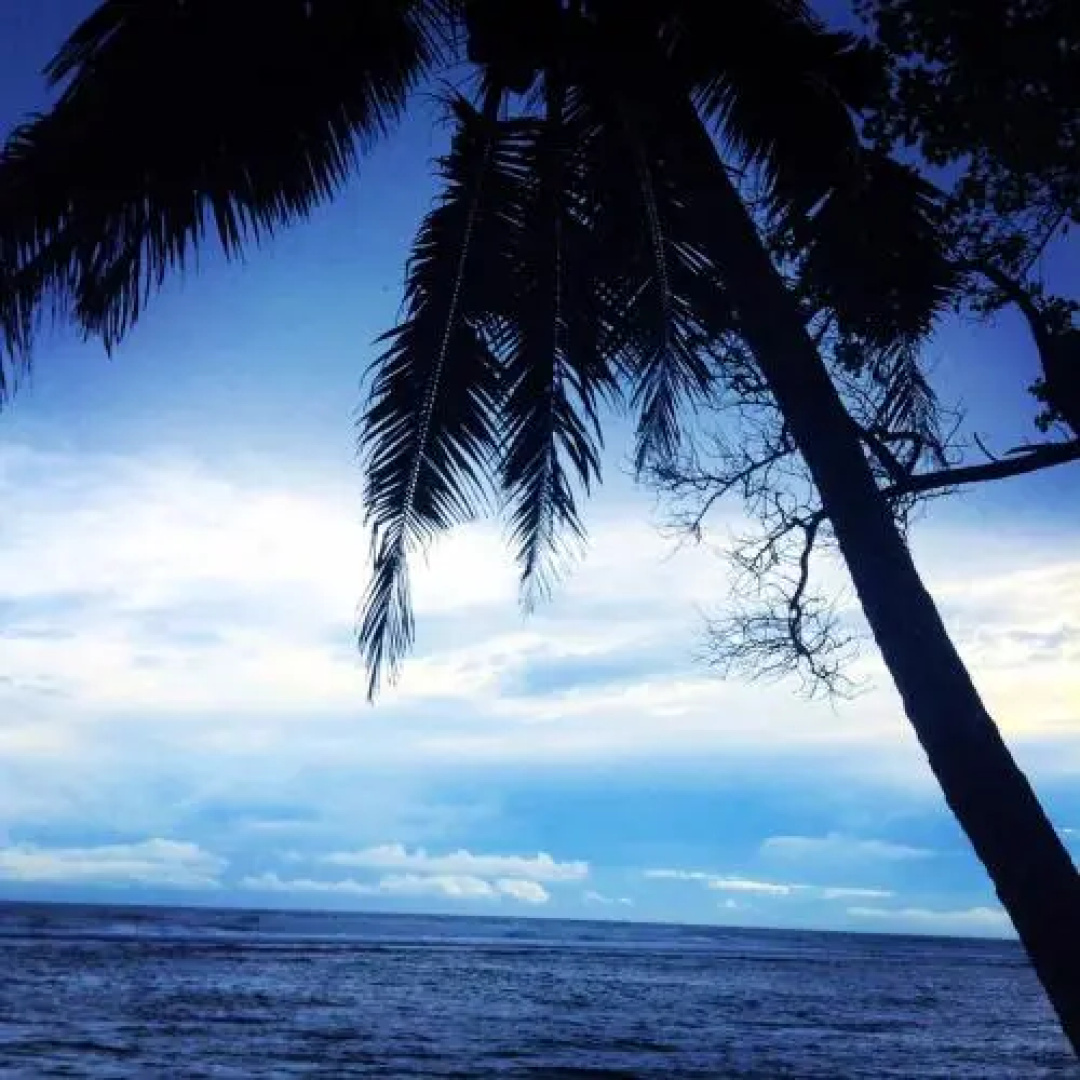 Tropi Turtle Guesthouse
