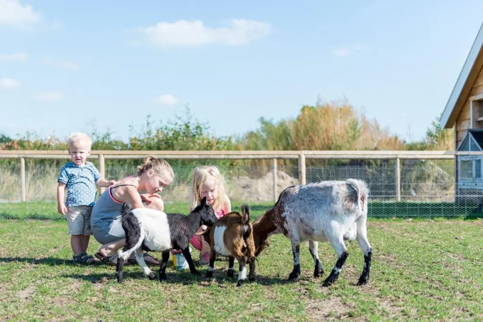 Wertemerhoeve Vakantiewoningen