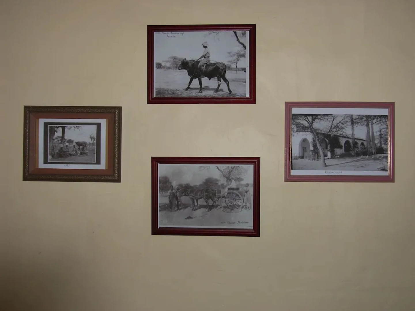 Roidina Safari Lodge