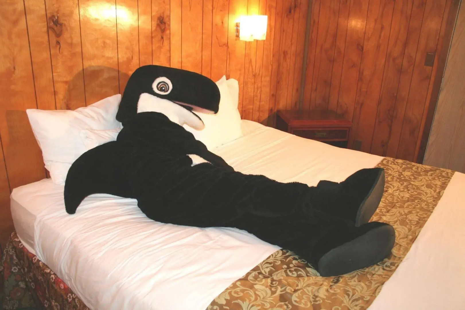The Orca Inn