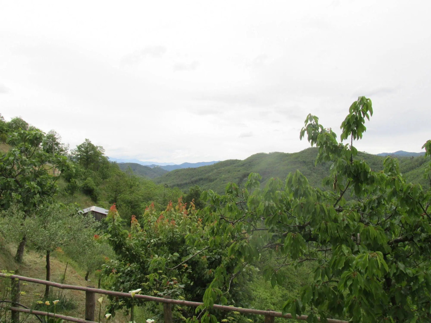 Appartamento e Camere Cerreta - Carro