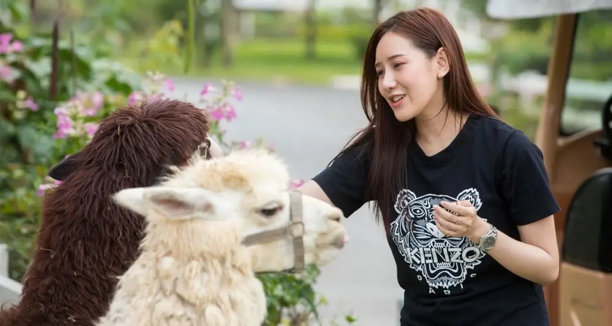 Resort Huangchui Baan Phu Khao