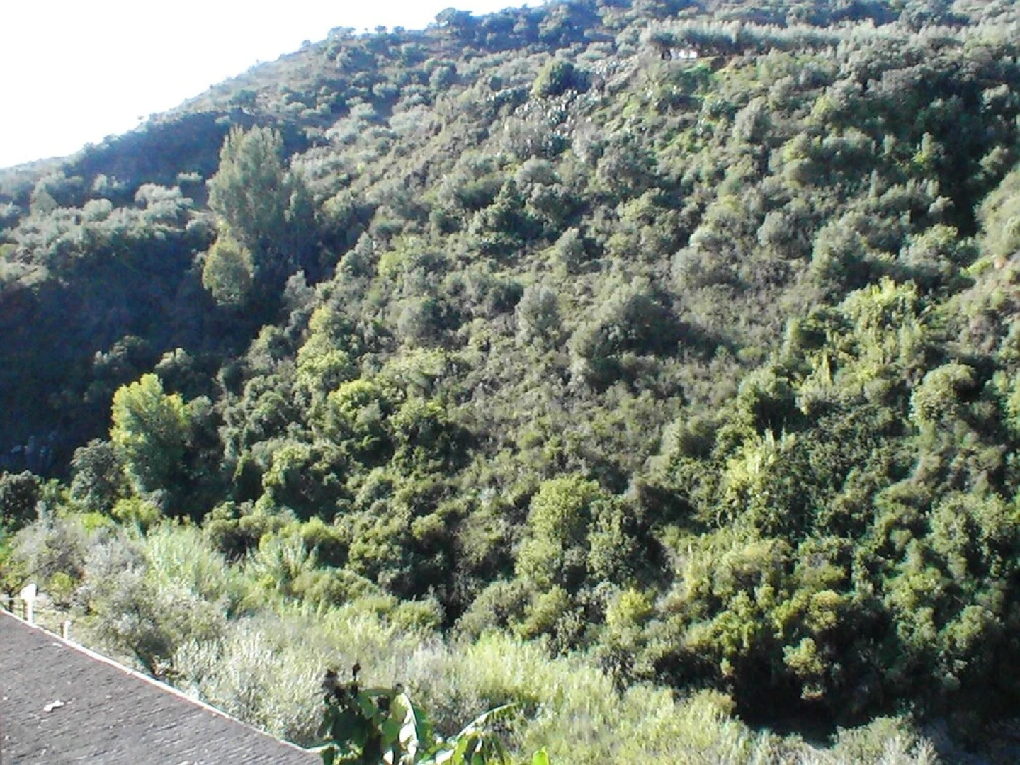 Villa With 7 Bedrooms in Riogordo, With Wonderful Mountain View, Priva