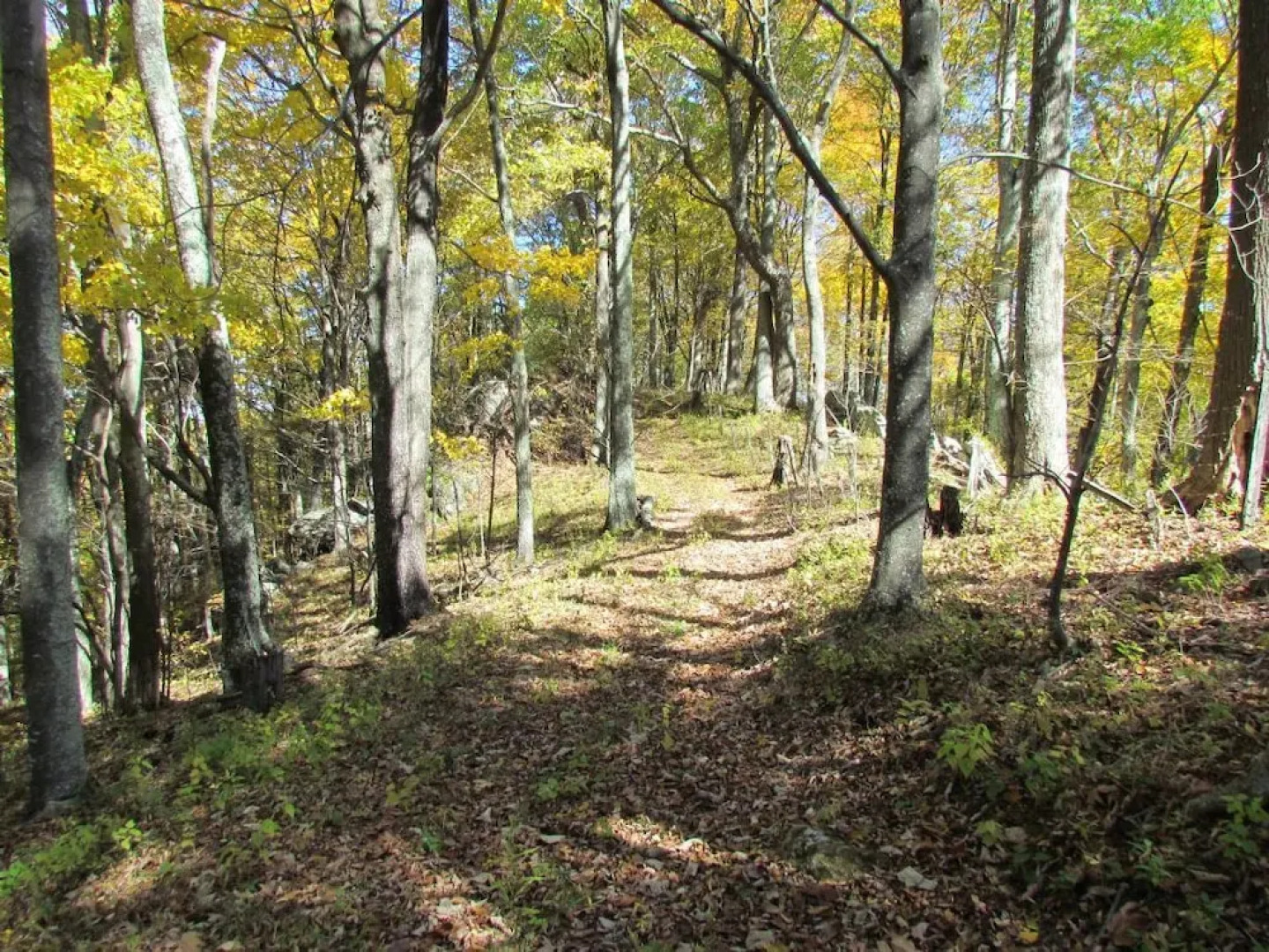 Sugar Camp Hideaway - 4 Br Cabin