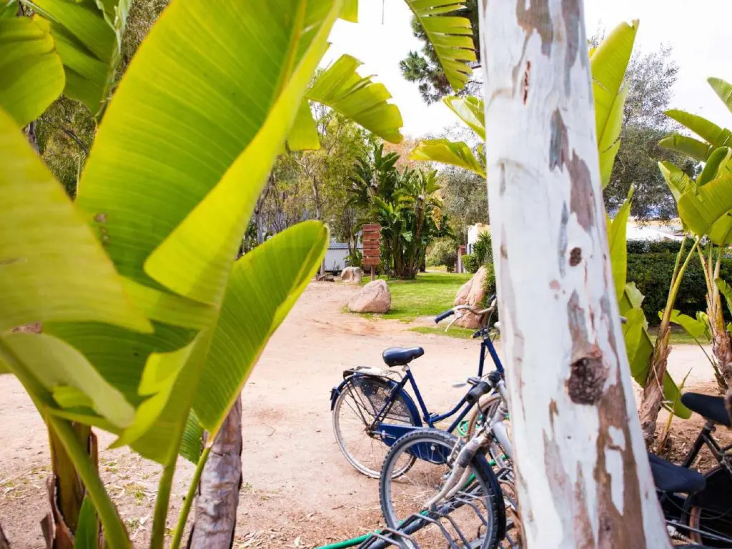 Camping Cala d'Ostia