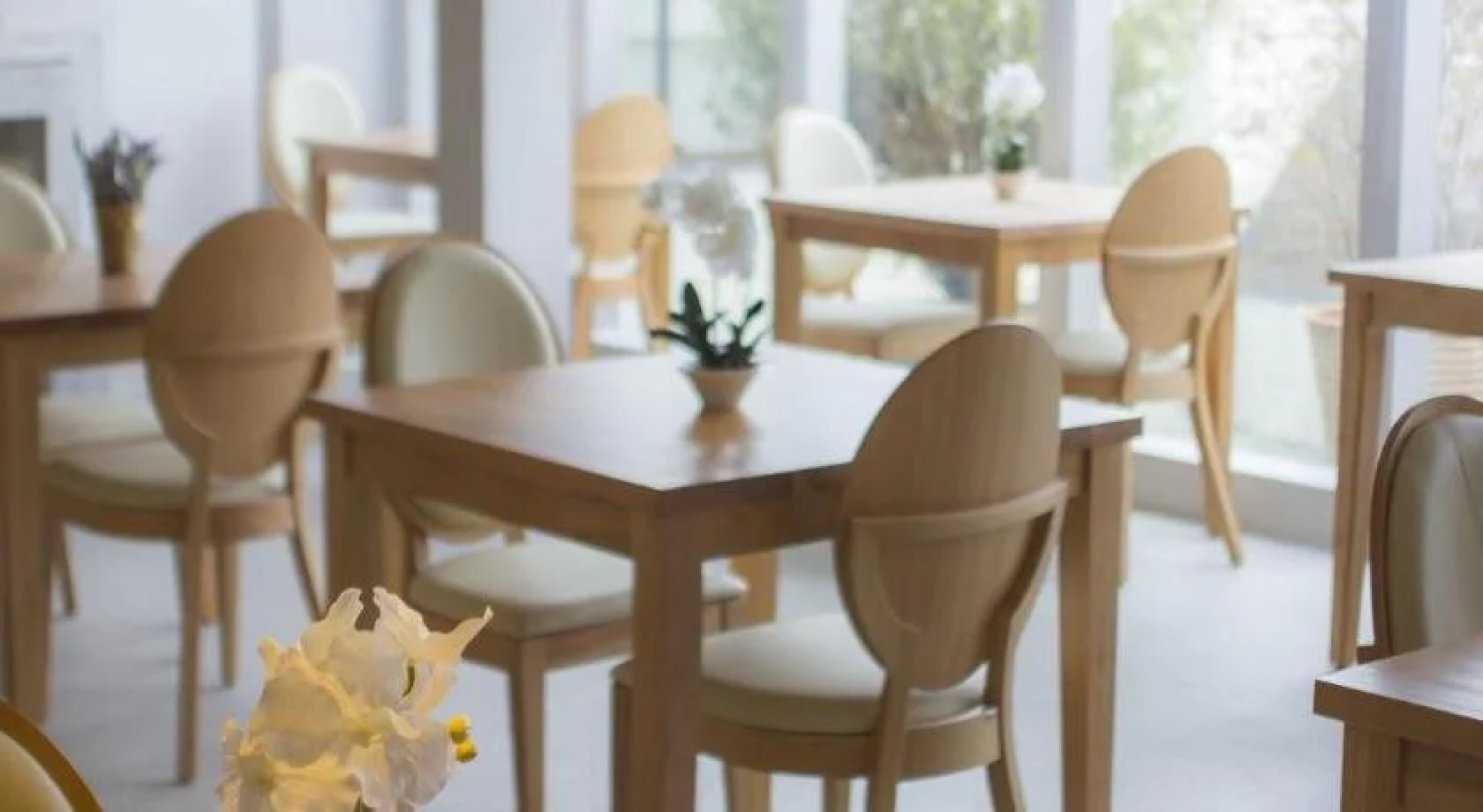 Hotel Las Terrazas Business