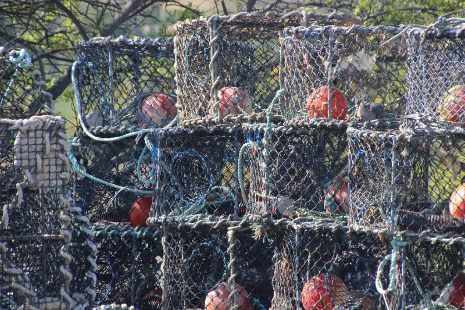 Hotel Restaurant Bocher