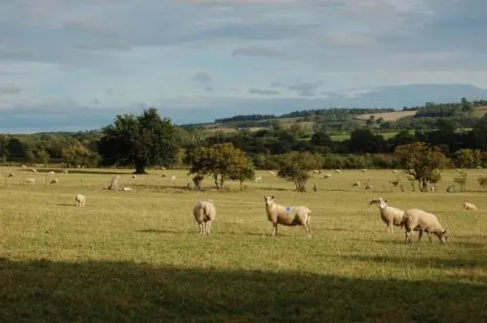 The Farm Snead Bed & Breakfast