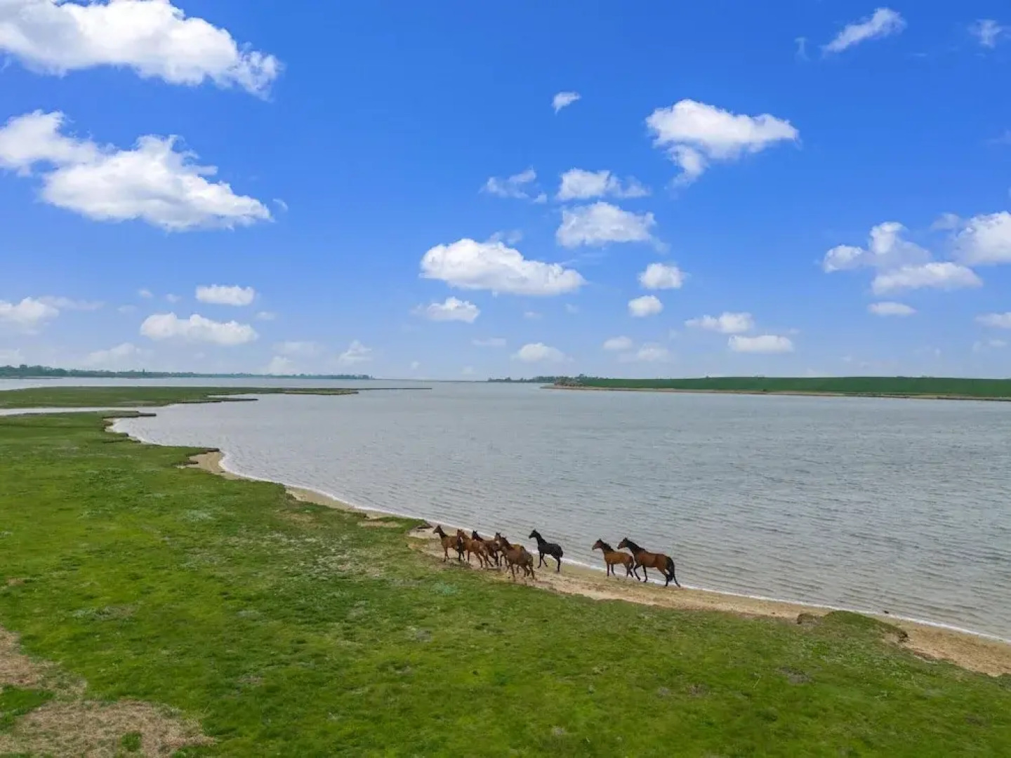 Snug Bungalow in Insel Poel Germany near Beach