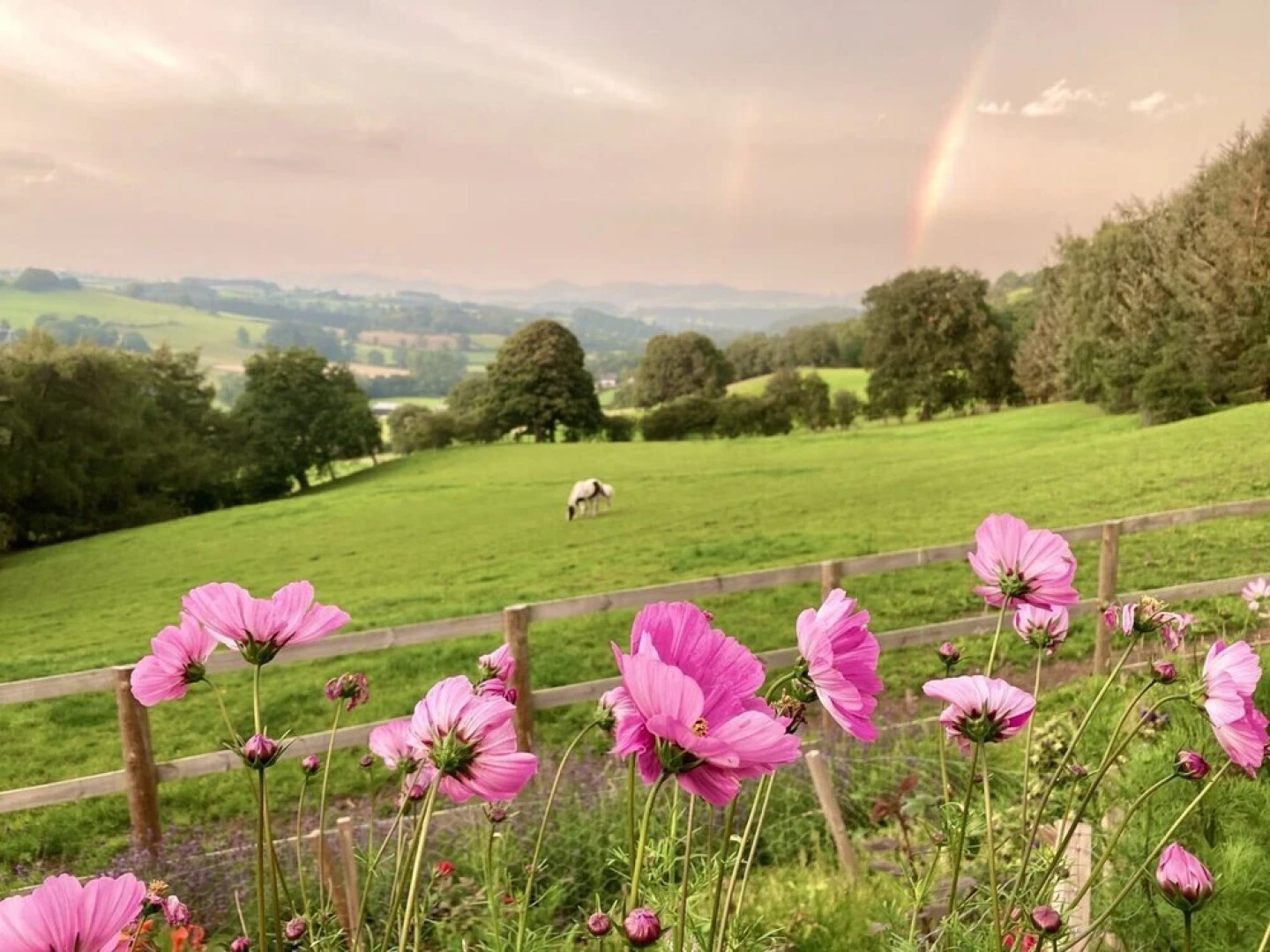 Inviting 5 Beth Caravan in Corwen North Wales