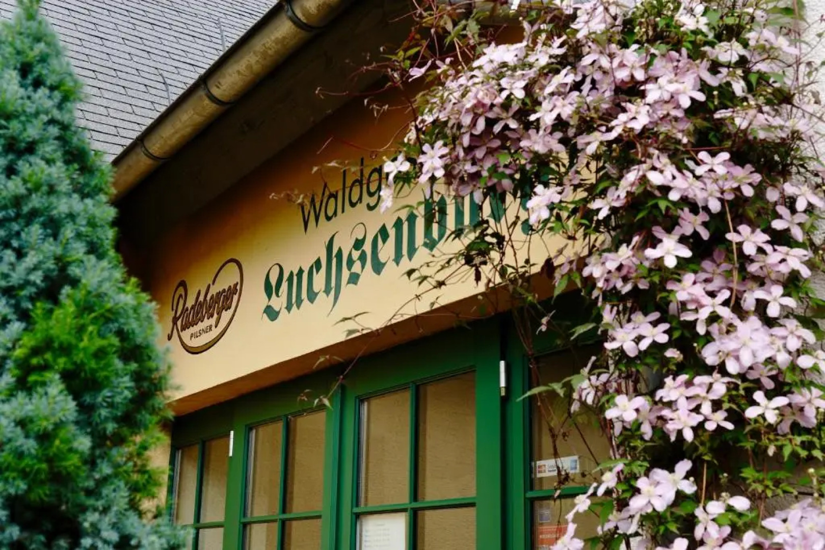 Hotel Forsthaus Luchsenburg