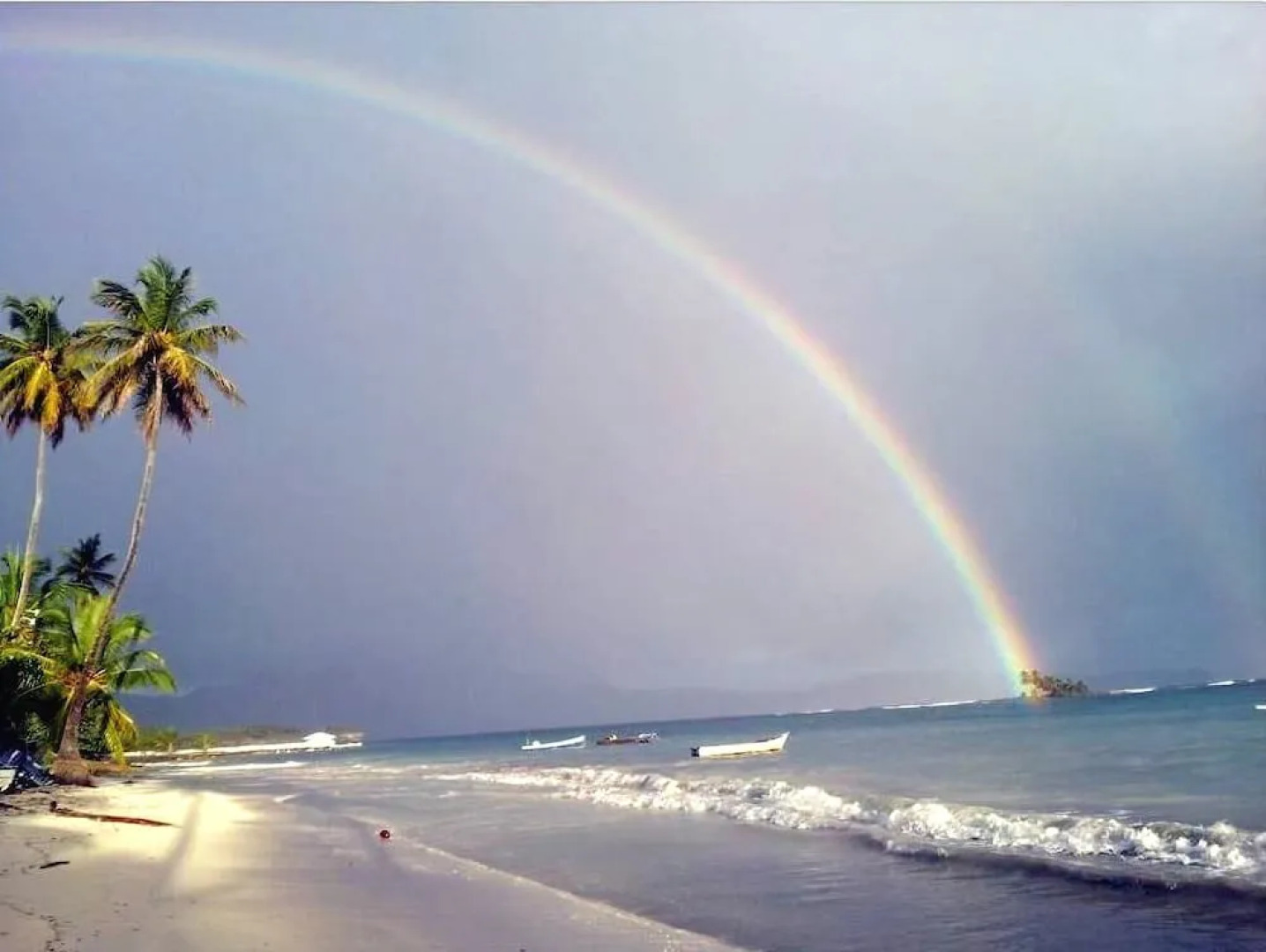 Hostel La Ballena Backpacker