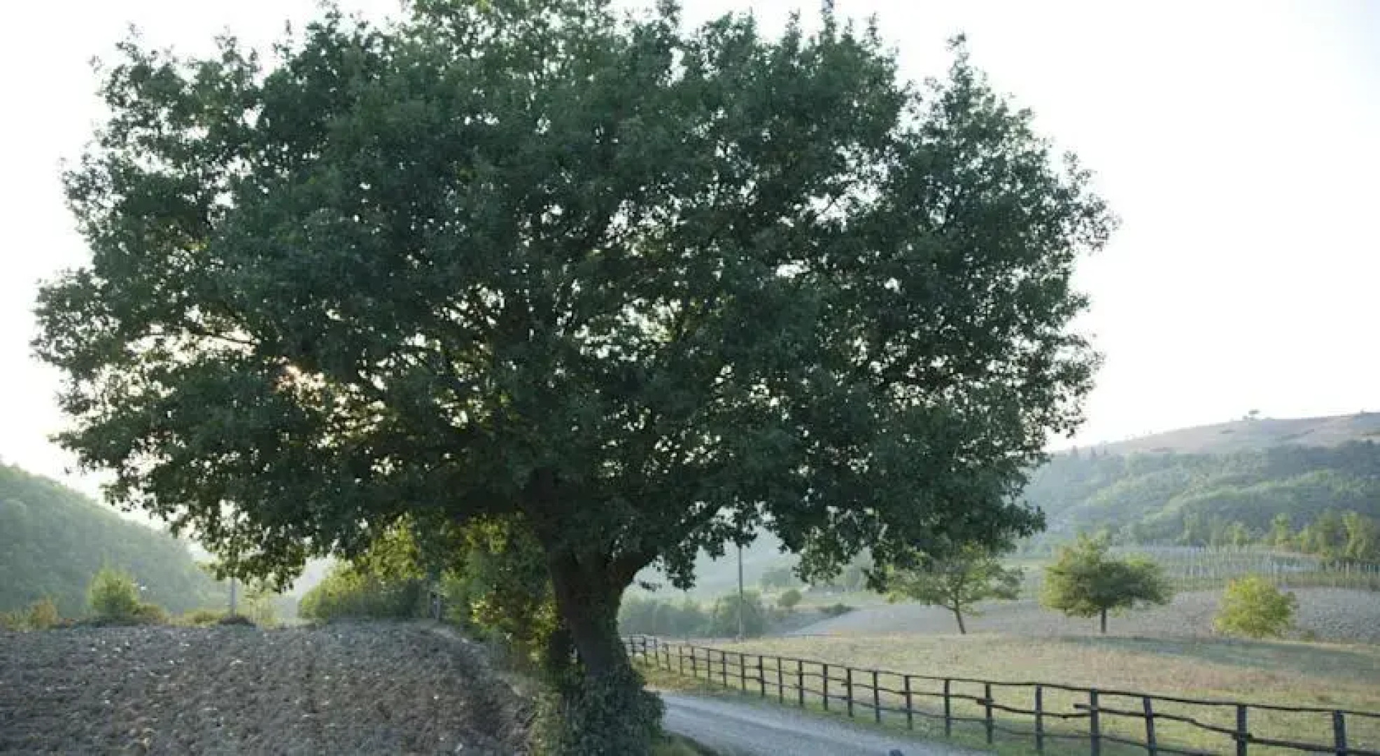 Agriturismo Casa Verragoli