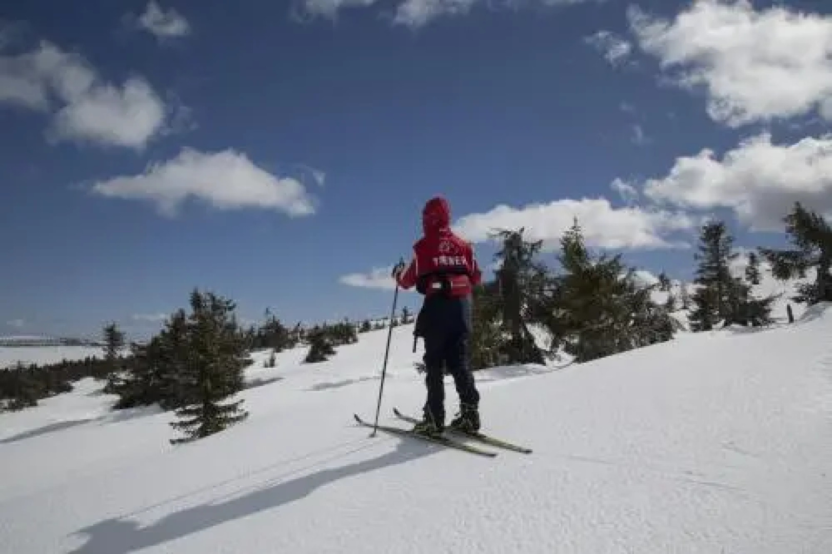 Pellestova Apartments