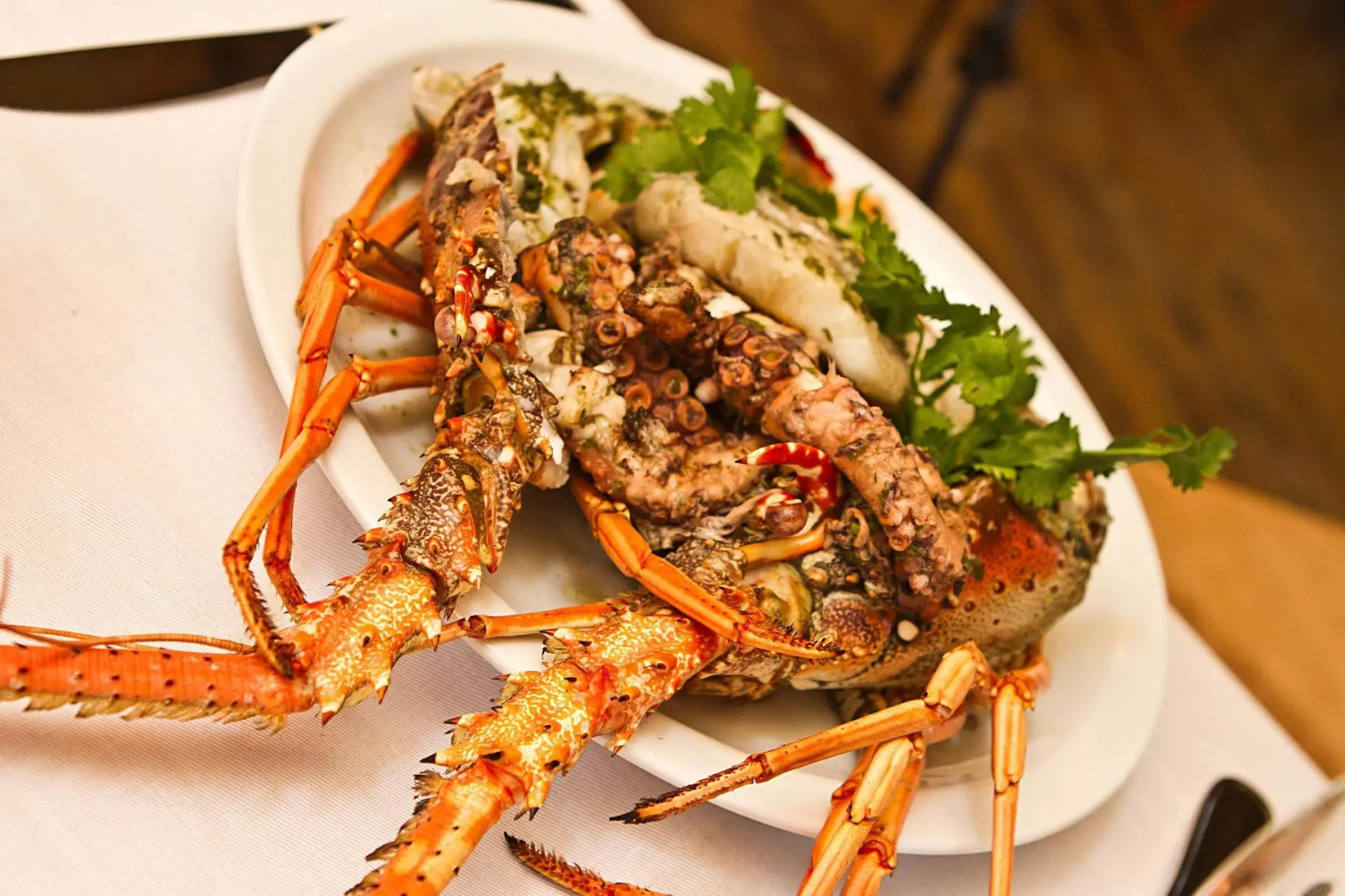 El Morro Eco Adventure Hotel